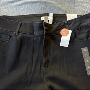 Lane Bryant Men's Dark Jeans
